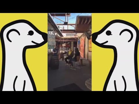 Instantly stream your life with Meerkat