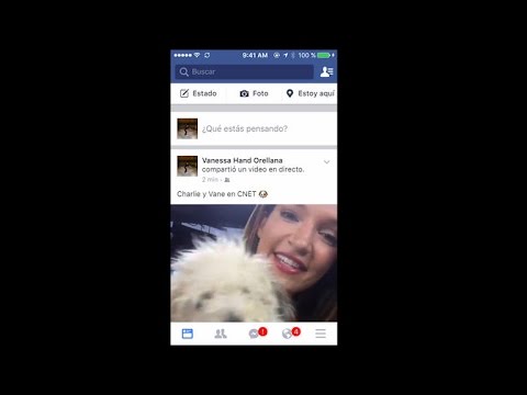 Facebook Live ya está habilitado para todos los usuarios de EE.UU.