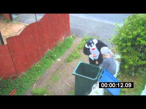Mercia - Revenge of the Cat
