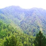 abbottabad 6