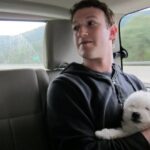 zuck pup 1