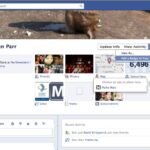 new profile 8
