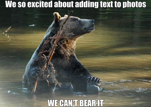google-plus-meme
