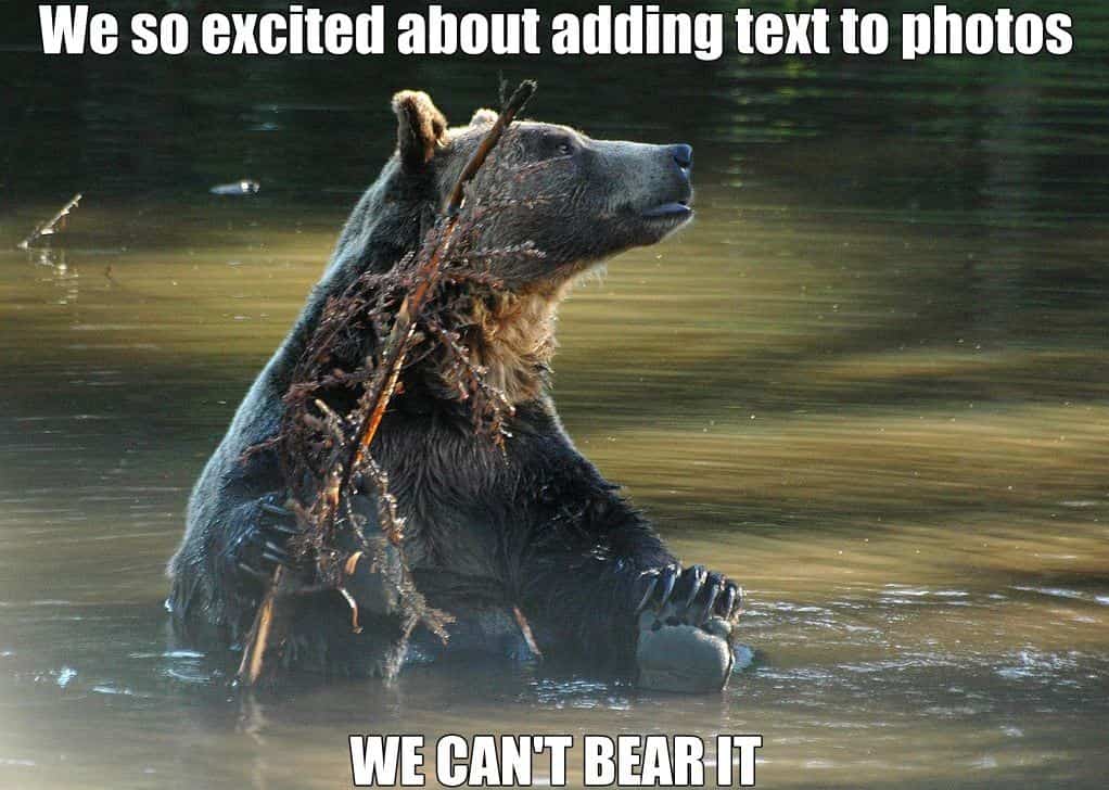 google-plus-meme