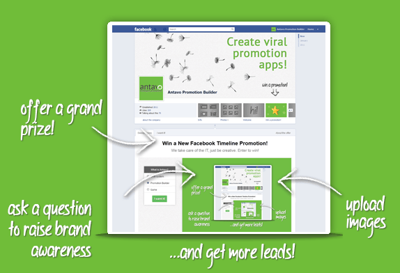 Timeline facebook pages