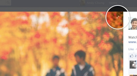 PhotoViewerFullScreen