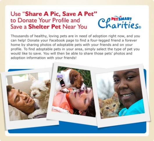 ShareAPicSaveAPet