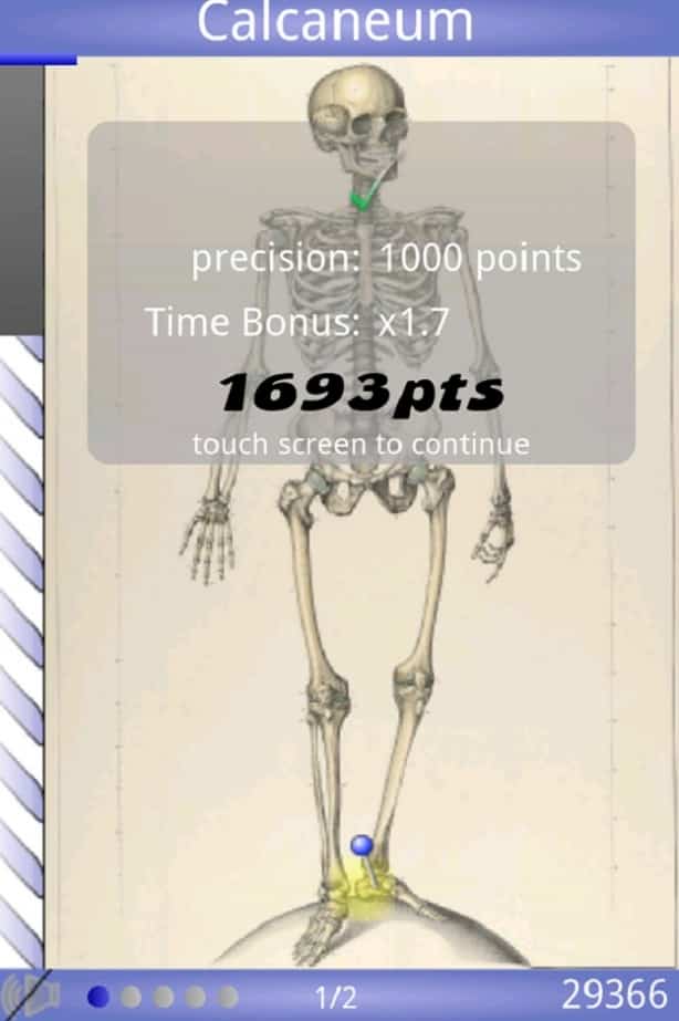 speedanatomy