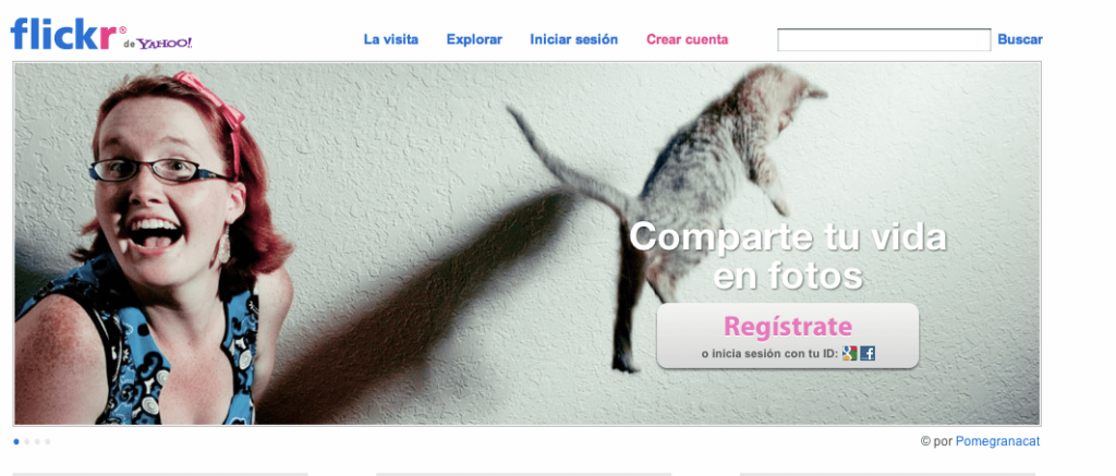 Flickr general