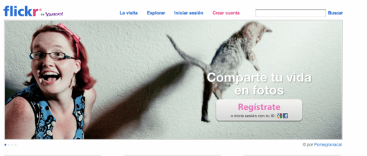 Flickr general