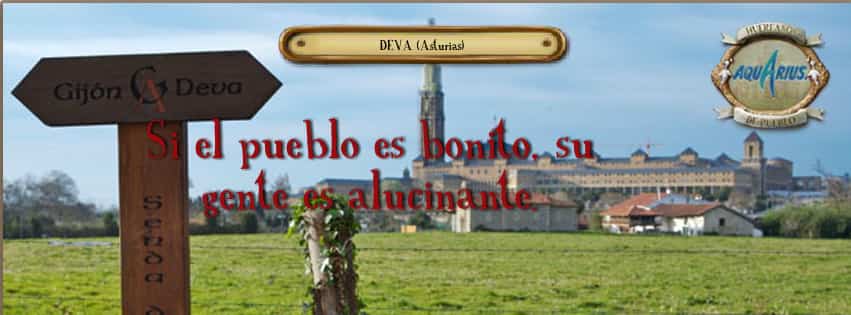 aquarius pueblito bueno
