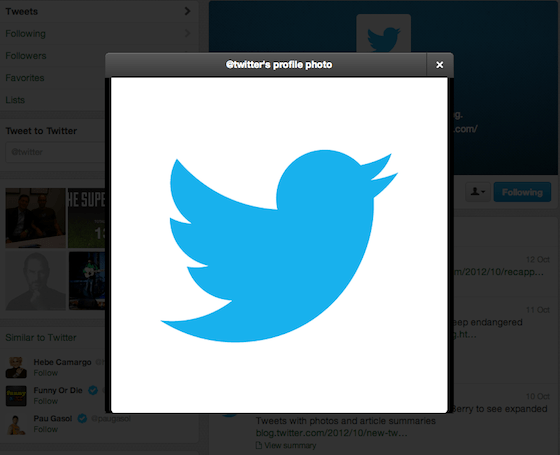 twitter-profile-photo