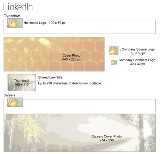 imagenes LinkedIn