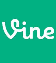 vine twitter