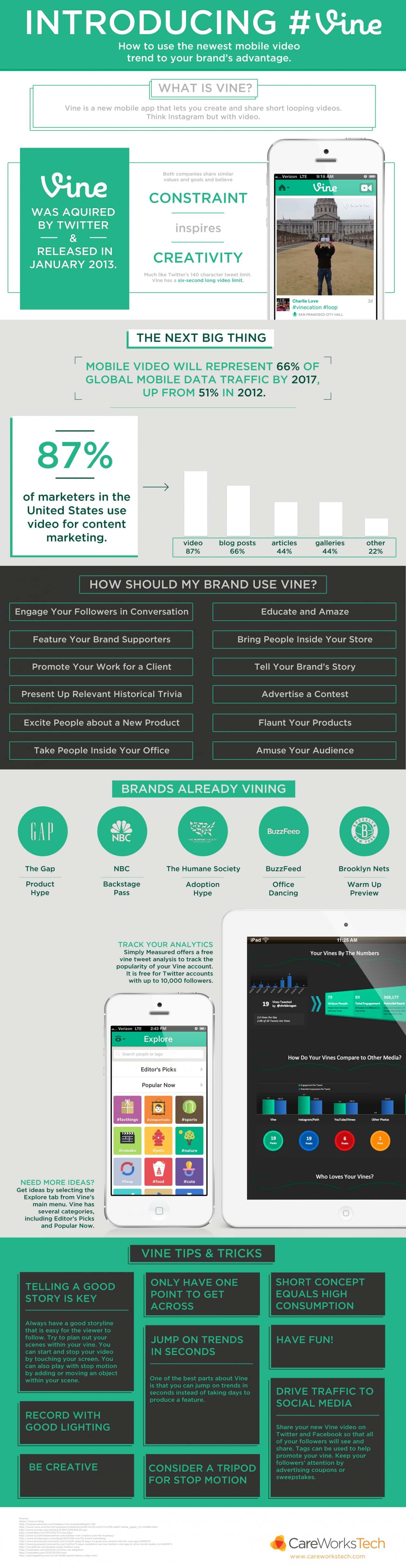 vine-infographic