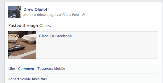 Facebook Google glass