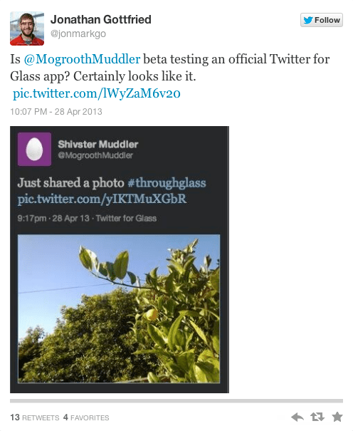 Twitter Google Glass