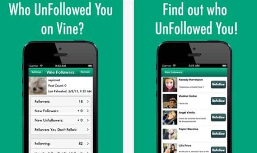 vine analitycs