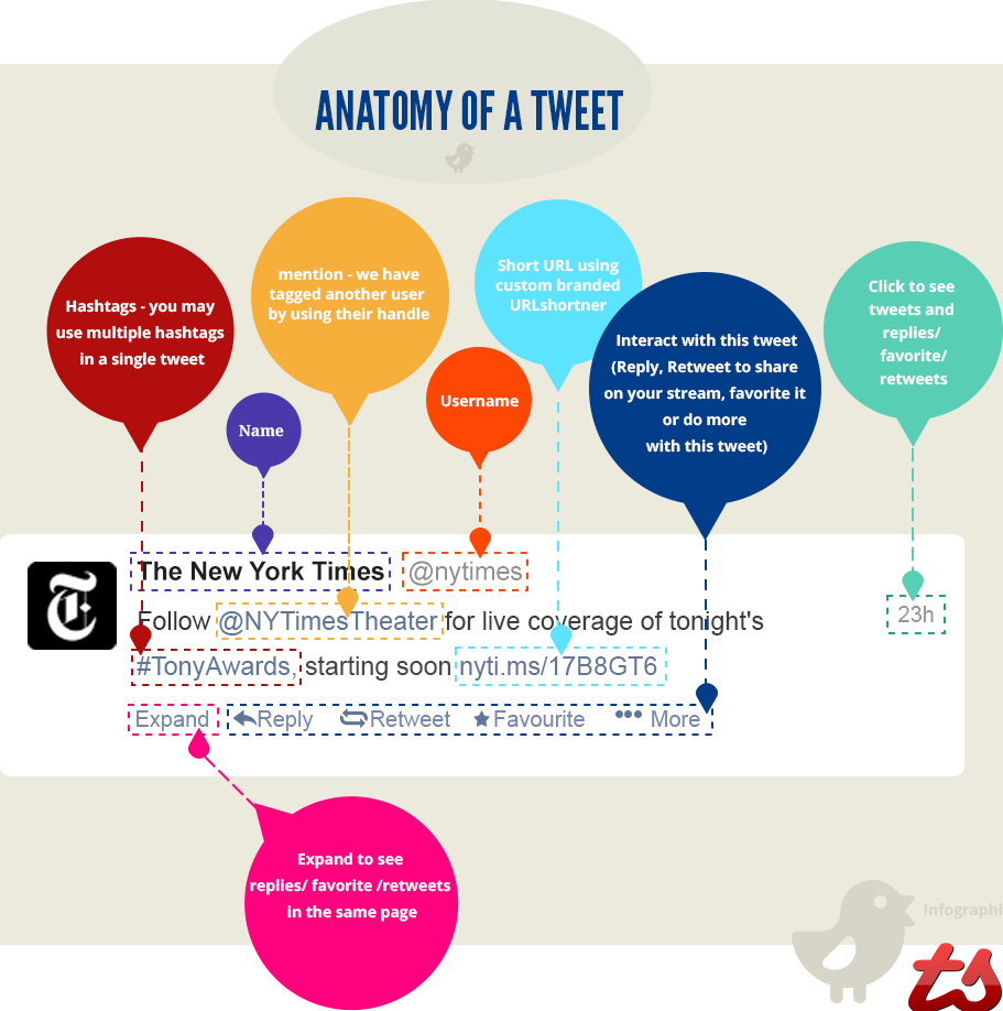 anatomia Twitter