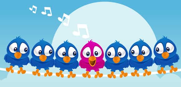 followers Twitter