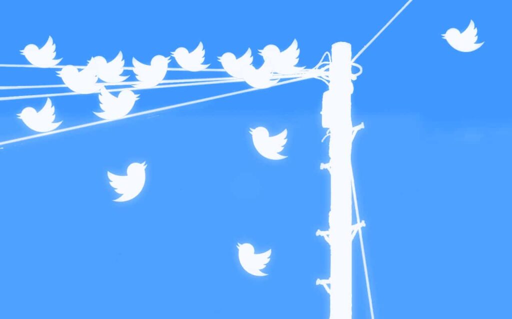 seguidores de Twitter