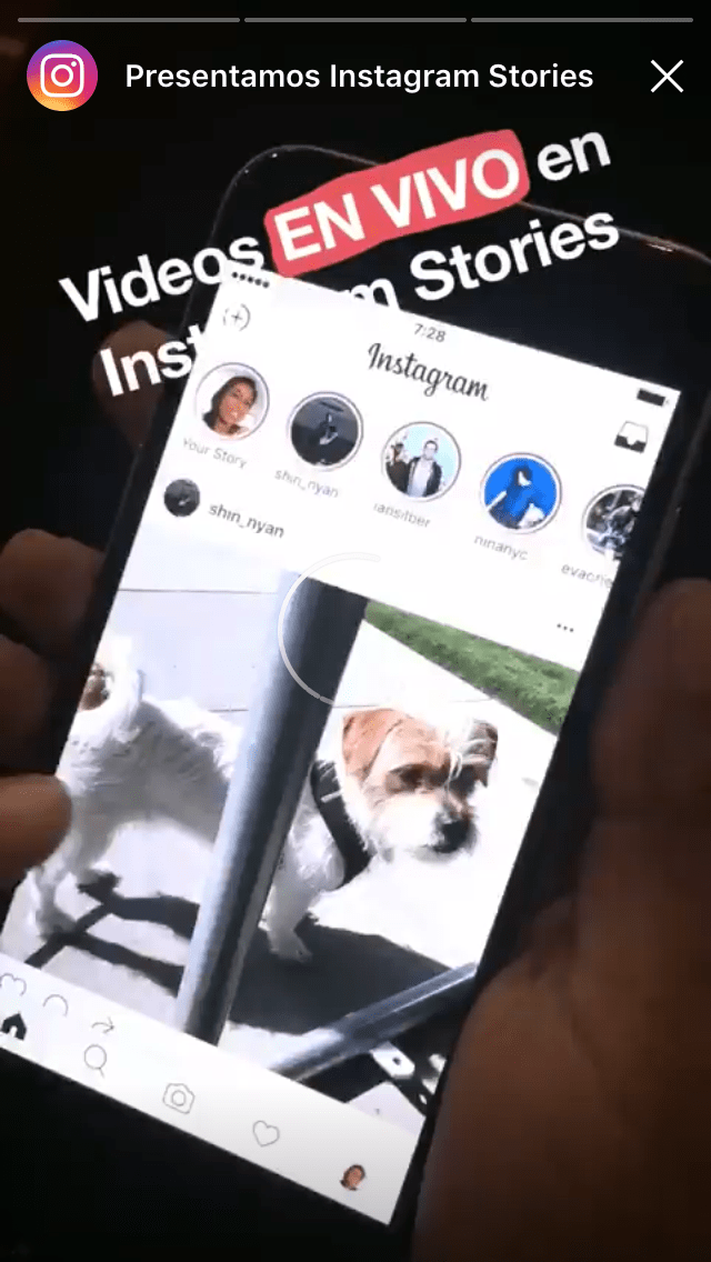 instagram-stories-en-vivo-4