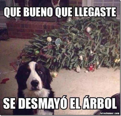 imagenes graciosas felicitar nuevo ano 15