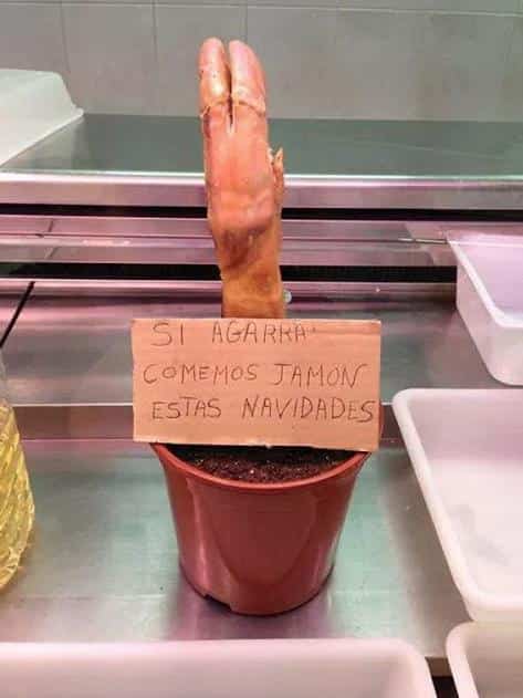 imagenes graciosas felicitar nuevo ano 23