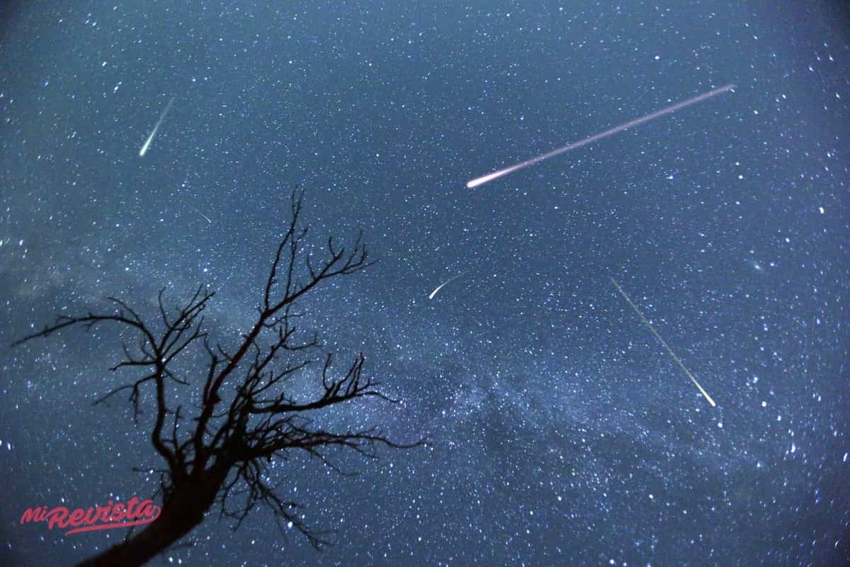 1 perseidas estrellas fugaces