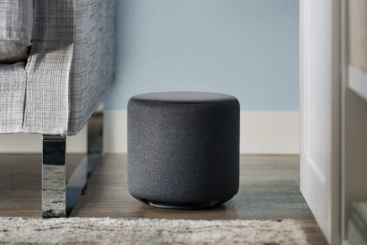 echo sub family room