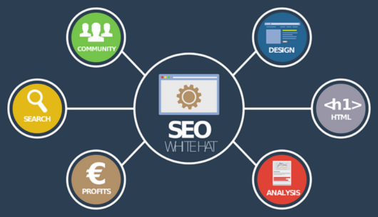 seo en la web